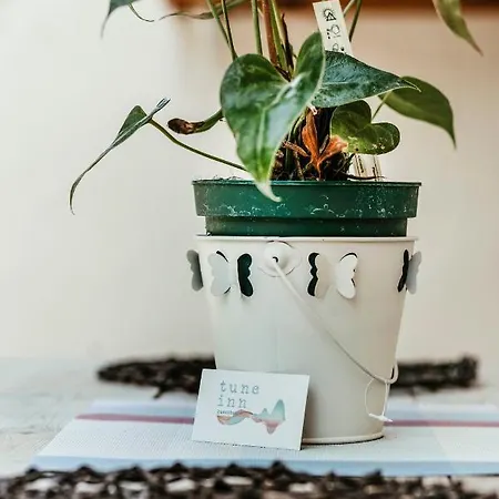 Tune Activity Guesthouse- Over 24's Penzion Ipsos