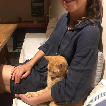 Tune Activity Guesthouse- Over 24's 3* Ipsos