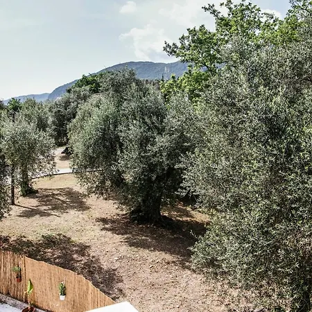 Affittacamere Tune Activity Guesthouse- Over 24's