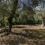 Tune Activity Guesthouse- Over 24's Pensjonat Ýpsos