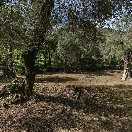 Tune Activity Guesthouse- Over 24's Pensjonat Ýpsos