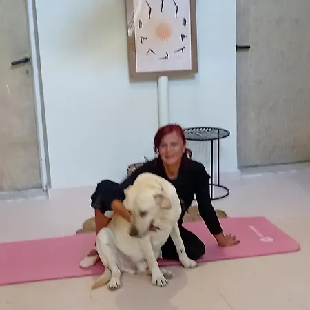 Tune Activity Guesthouse- Over 24's Pensjonat